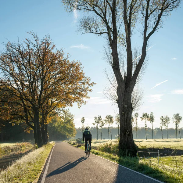 Голубое Небо Над Велосипедом Проселочной Дороге Низинах Около Utrecht Солнечный — стоковое фото