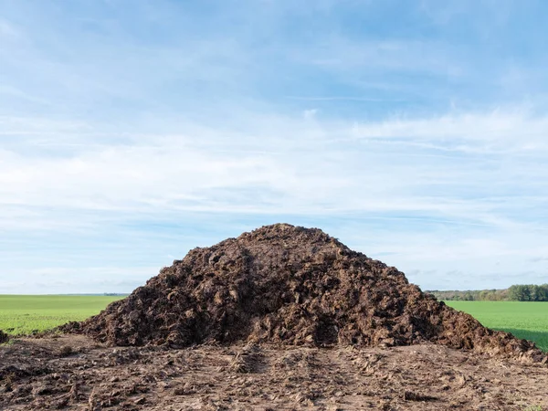 Heap Manure Blue Sky Belgian Countryside Charlerois Brussels — Stock Photo, Image