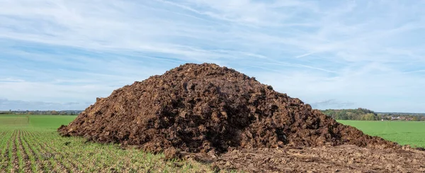 Heap Manure Blue Sky Belgian Countryside Charlerois Brussels — Stock Photo, Image