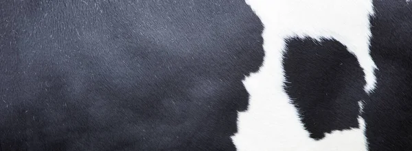 Inek Inek Tarafındaki Derisi Üzerinde Siyah Beyaz Desen — Stok fotoğraf