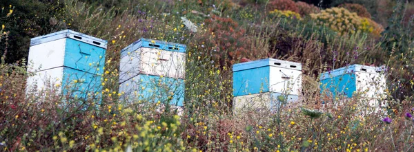 Beehives Several Colors Sundown Coast Peloponnese Sea Greece — Stock Photo, Image