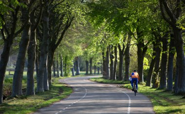 Soest, Hollanda, 27 Nisan 2023: Hollanda yakınlarındaki kayın ağaçları arasında yarış bisikleti süren adam.