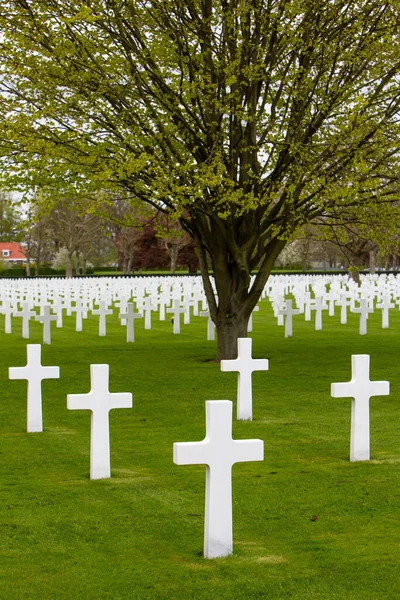 Białe Krzyże Wiosną Amerykańskim Cmentarzu Upamiętniającym Wojskowym Margraten Dolnej Części — Zdjęcie stockowe