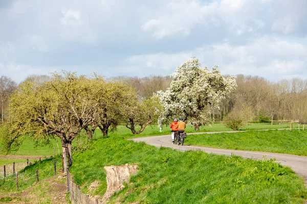 春天里 一对骑自行车的夫妇骑着自行车 在堤坝上走过盛开的果树 我们是黑土的一部分 — 图库照片