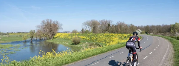 Heesselt Netherlands Апреля 2023 Floodplanes Реки Ваал Велосипед Плотине Низине — стоковое фото