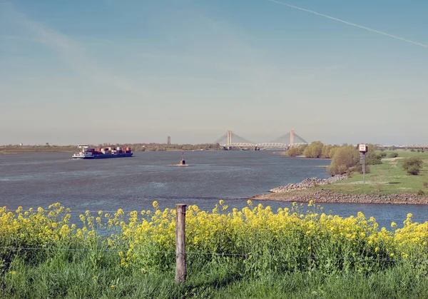 Barge River Waal Netherlands Blue Sky Yellow Rapeseed Flowers Zaltbommel Stock Image