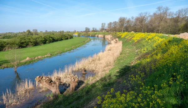 Flutflächen Des Flusswaals Bei Zaltbommel Und Windmühle Bei Burg Waardenburg — Stockfoto