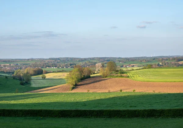 stock image landscape in spring in dutch province of south limburg near margraten with flowers and blossoms