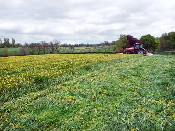 Kosení Traktoru Jarní Krajině Holandské Provincii Jižní Limburg Margratenu Květinami — Stock fotografie