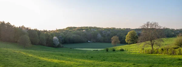 Schöne Hügelige Landschaft Mit Feldern Wiesen Und Wäldern Bei Maastricht lizenzfreie Stockbilder