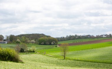 Hollanda 'nın Zuid limburg ilindeki margraten yakınlarında yeşil tarlaları ve çiftlikleri olan bahar manzarası