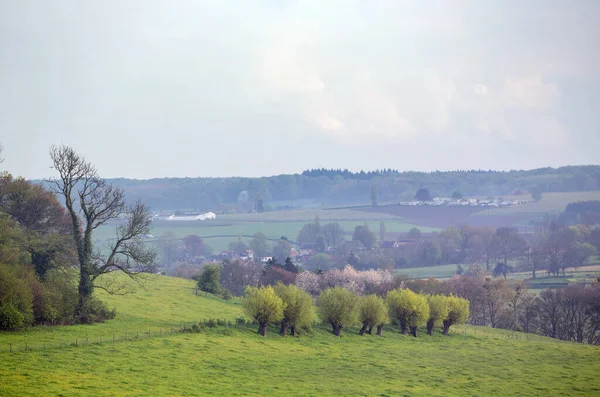 Spring Landscape Meadows Trees Slenaken Durch Province Zuid Limburg — 스톡 사진