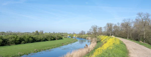黄色の花と春に青い空の下で城Wardenburg近くのZaltbommelと風車の近くの川の波の氾濫原 — ストック写真