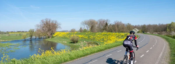 Heesselt Niederlande April 2023 Flutflächen Von Flusswaal Und Fahrrad Auf Stockfoto