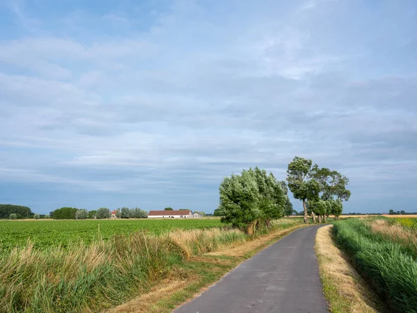 比利时西部法兰西斯省乡村道路上的蓝天 长满了树木和古老的农场 — 图库照片