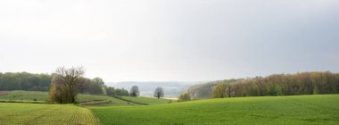 Hollanda 'nın Maastricht bölgesindeki çayırların, çayırların ve ormanın güzel tepe manzarası.
