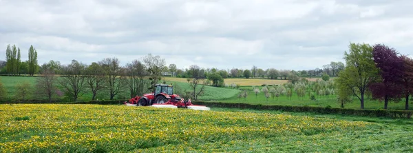 Tractor Mowing Spring Landscape Dutch Province South Limburg Margraten Flowers — Stock Photo, Image