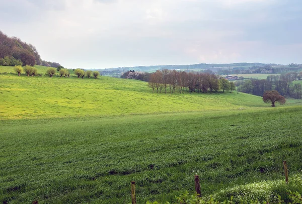 Schöne Hügelige Landschaft Mit Feldern Wiesen Und Wäldern Bei Slenaken — Stockfoto