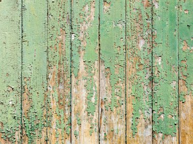 Arkaplan, soyulmuş boyaların soyulduğu soyut desenli yeşil tahta levhalardan oluşmaktadır.