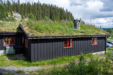 Norveç 'te yeşil çimen çatılı ve çiçekli ahşap kulübe