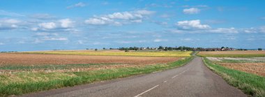 Uçsuz bucaksız kırsal arazide mavi gökyüzü ve Saone Vadisi 'ndeki Tanay köyü yakınlarında ayçiçekleri.