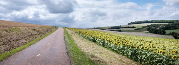 フランスの田舎の田舎の田園地帯 田園と日光の花が付いている国民の欲望 — ストック写真