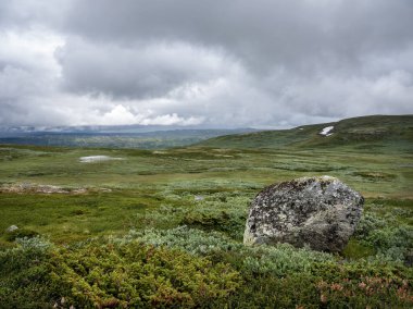 Norveç 'in Hallingskarvet Ulusal Parkı' ndaki dağların yakınındaki kayalar