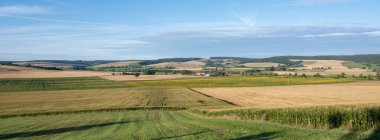 Fransa 'nın kuzeyinde Verdun yakınlarında tarlaları ve ayçiçekleri olan Lorraine kırsal arazisi