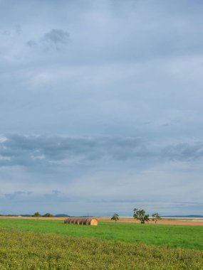 Çiçekler ve saman balyaları Kuzey Fransa 'nın en büyük manzarası Metz ve Nancy yakınlarında.