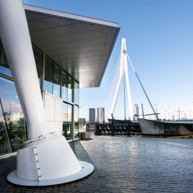 Nieuwe Maas Nehri ve Erasmus Köprüsü, güneşli bir günde Hollanda 'nın Rotterdam şehrinde Kop Van Zuid rıhtımından görüldü.