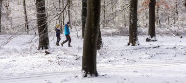 Hollanda 'da utrecht yakınlarında kışın karla kaplı ormanda bebek yürüyüşü yapan çift.