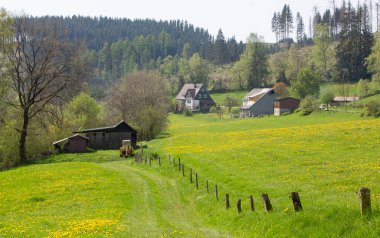 Almanya 'nın Sauerland bölgesindeki Winterberg yakınlarındaki kırsal arazide evler, çiftlikler ve bahar çiçekleri