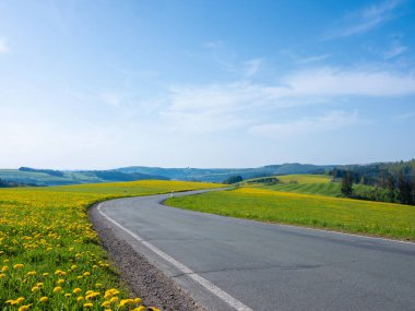 Alman sauerland 'inde, ağaçlar ve çiçek açan karahindiba tarlaları ile bahar kırsalında mavi gökyüzü.