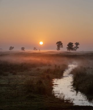 Hollanda 'da Giethoorn yakınlarındaki milli parktaki Weerribben Wieden arazisinde çimlerin üzerinde renkli bir gün doğumu.