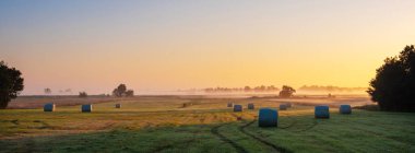 Hollanda 'nın Sint Jansklooster kenti yakınlarındaki Weerribben Wieden Ulusal Parkı' nda günbatımında çayırda sabah sisi ve saman balyaları