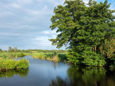 Hollanda 'daki Weerribben Wieden Ulusal Parkı' nın kamış arazisinden geçen kanal.