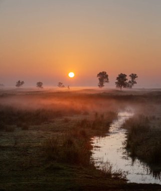 Hollanda 'da Giethoorn yakınlarındaki milli parktaki Weerribben Wieden arazisinde çimlerin üzerinde renkli bir gün doğumu.
