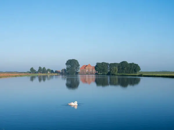stock image lonely swan near pumping station A.F. Stroink in dutch national park weerribben wieden under blue sky