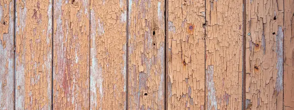 stock image old wooden planks with peeling grungy pink brown beige paint and rusty nails on deserted shed