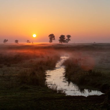 Hollanda 'da Giethoorn yakınlarındaki milli parktaki Weerribben Wieden arazisinde çimlerin üzerinde renkli bir gün doğumu.