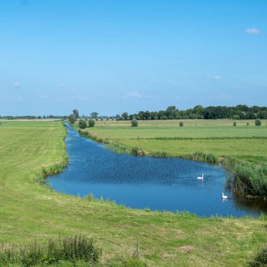 Hollanda 'nın kuzeyindeki Weerribben Wieden Ulusal Parkı' ndaki çayırlar, kanallar ve kuğular güneşli bir yaz gününde