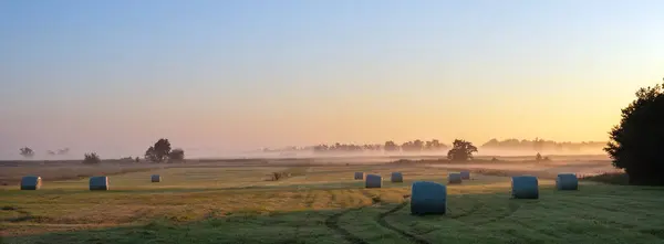 stock image morning fog and hay bales in meadow during sunset in national park weerribben wieden near sint jansklooster in dutch province of overijssel