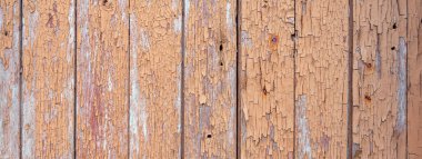 Eski ahşap döşemeler, soyulmuş kirli pembe bej boya ve terk edilmiş barakada paslı çiviler.