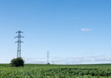 Saint Quentin ve Laon arasındaki Fransa 'nın kuzeyindeki büyük pancar tarlasında mavi gökyüzü