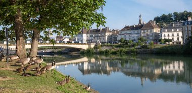 geese and ducks on river bank in french town of chateau thierry clipart