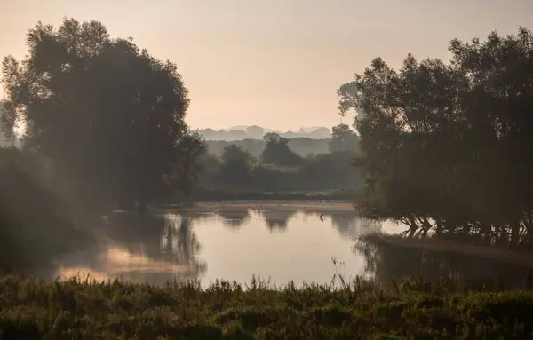 stock image early morning mist over marsh nature reserve near rriver waal in ooijpolder