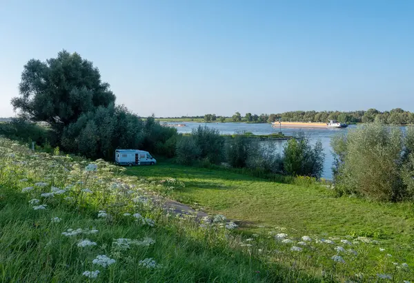 stock image summer flowers and camper van on embankment of river waal near nijmegen in the netherlands with passing ships