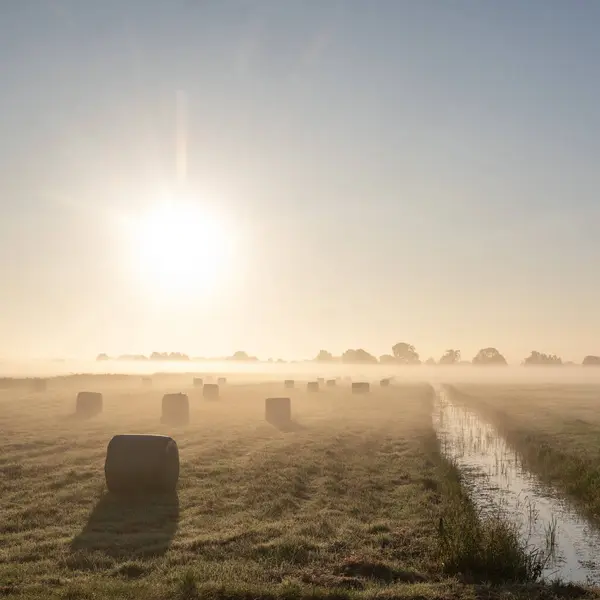 stock image morning fog and hay bales in meadow during sunset in national park weerribben wieden near sint jansklooster in dutch province of overijssel