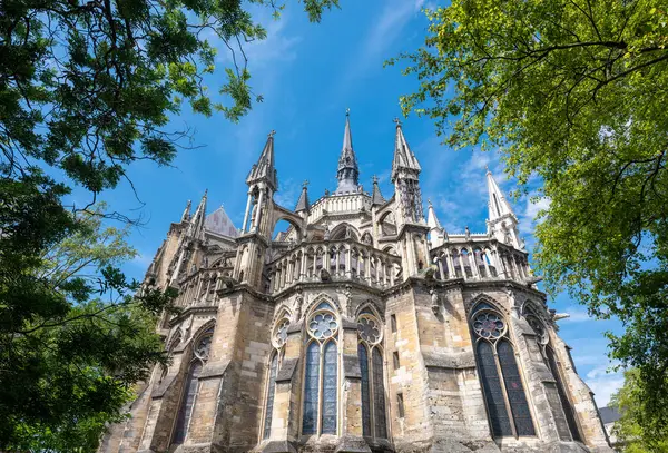 stock image south facade of famous old gothic cathedral in reims under blue sky seen through trees