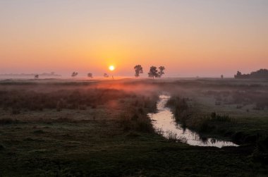 Hollanda 'da Giethoorn yakınlarındaki milli parktaki Weerribben Wieden arazisinde çimlerin üzerinde renkli bir gün doğumu.